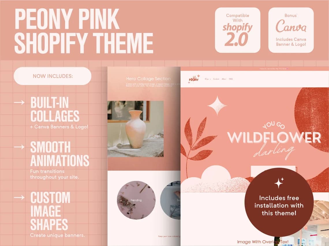 Shopify Theme