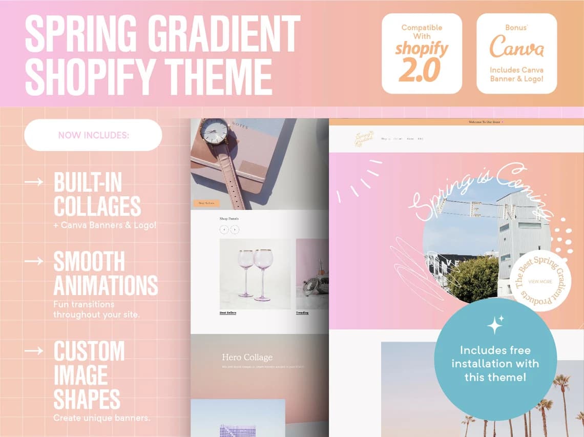 Shopify Theme